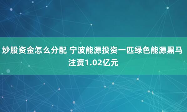 炒股资金怎么分配 宁波能源投资一匹绿色能源黑马 注资1.02亿元