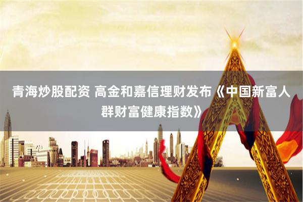 青海炒股配资 高金和嘉信理财发布《中国新富人群财富健康指数》