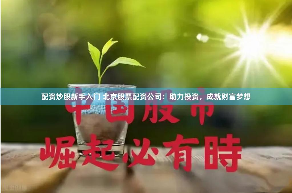 配资炒股新手入门 北京股票配资公司：助力投资，成就财富梦想