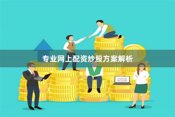 专业网上配资炒股方案解析