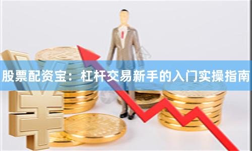 股票配资宝：杠杆交易新手的入门实操指南